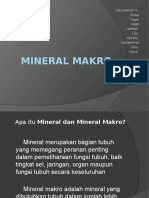 Mineral Mkro