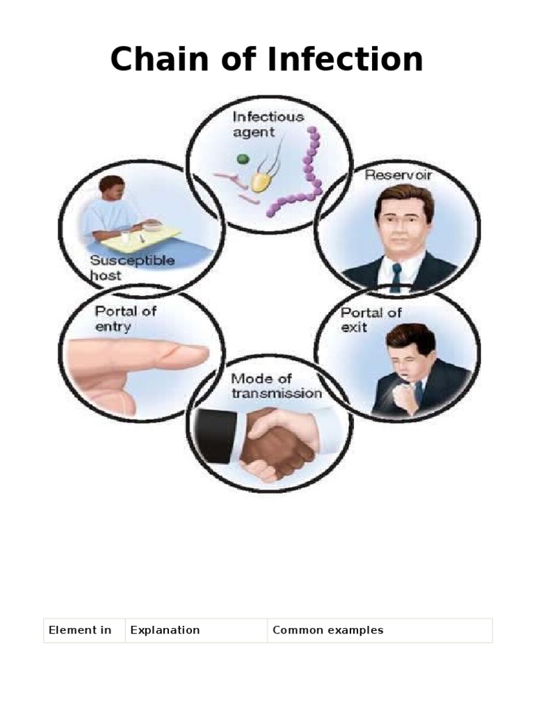 Chain of Infection Transmission (Medicine) Infection