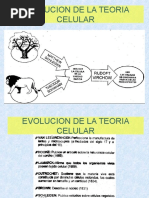 Capítulo 1.4 Evolucion de La Teoria Celular