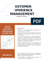 Customer Experience Management: Ingeniería de Procesos