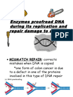 Enzymes Proofread DNA During Its Replication and Repair Damage To Existing DNA