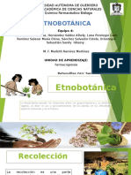 Etnobotanica Expo Farmacognosia