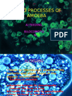 Living Processes of Amoeba: A) Feeding. B) Locomotio N