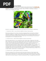 Download Berbagai Jenis Burung Cekakak by Yazidu Wa Yazidu SN330249497 doc pdf