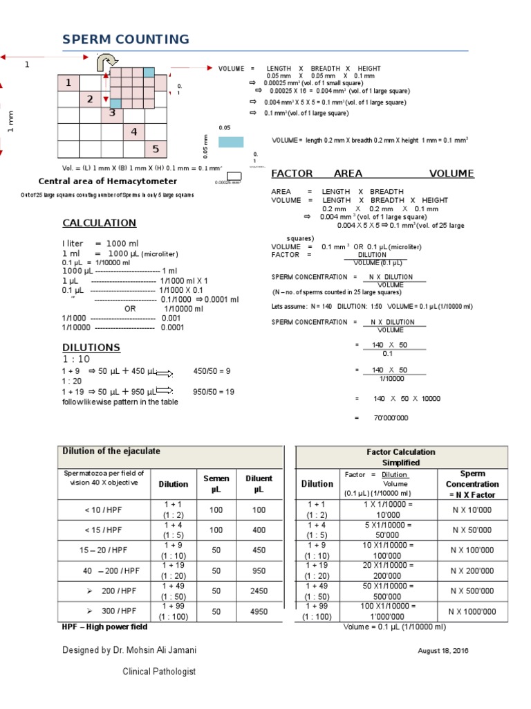 Sperm Count Calculation Guide | PDF | Wellness