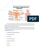 anatomi pospartum.docx