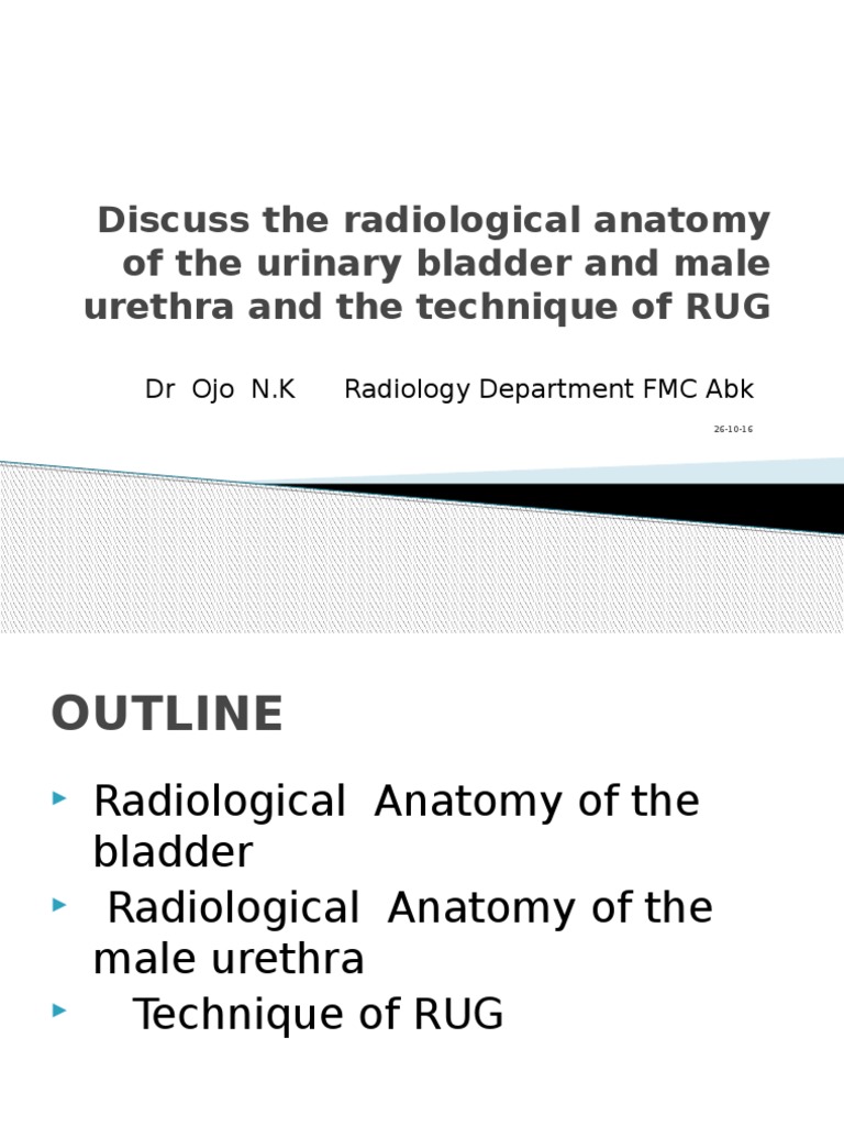 Radiological Anatomy of Bladder & Urethra | PDF | Urinary Bladder ...