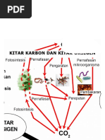 Soalan Sains Tahun 5 Topikal - Persoalan x