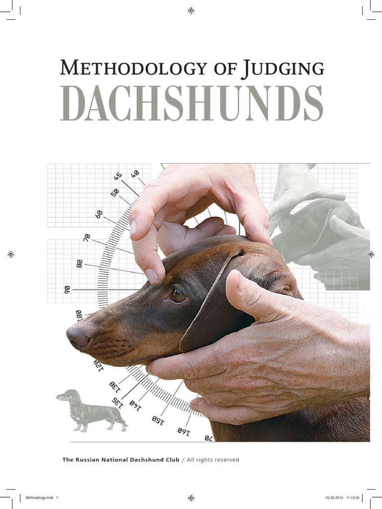 Dachshund Judging Methodology Guide | PDF | Shoulder | Dachshund
