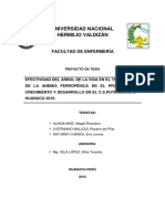 Tesis Efectividad Del Árbol de La Vida en El Tratamiento de La Anemia Ferropénica en El Programa de Crecimiento y Desarrollo en El C.S. Potracancha - Huánuco 2015