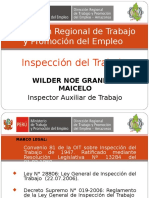 INSPECCION