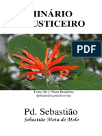 Padrinho Sebastiao - O Justiceiro e Nova Jerusalem - Grafica