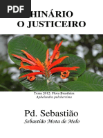 Padrinho Sebastiao - O Justiceiro e Nova Jerusalem - Grafica