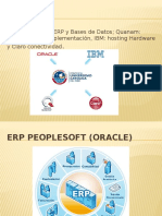 ERP - PUCP