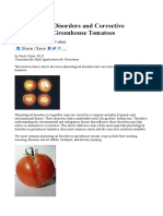 Physiological Disorders and Corrective Measures For Greenhouse Tomatoes