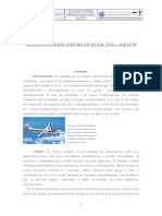Estructuras principales del avion.pdf