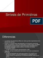 2-MetabolismodePirimidinas.pdf
