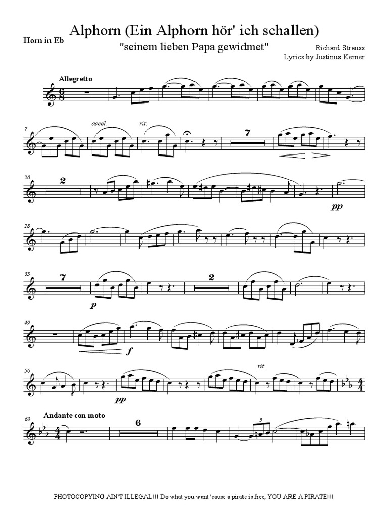 Strauss, R - Alphorn-Horn - in - Eb | PDF