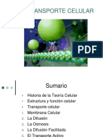 Transporte Celular PDF