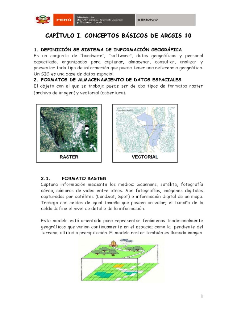 Formatos Raster y Vectoriales en ArcGIS | PDF | Sistema de información ...