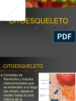 Citoesqueleto (1)