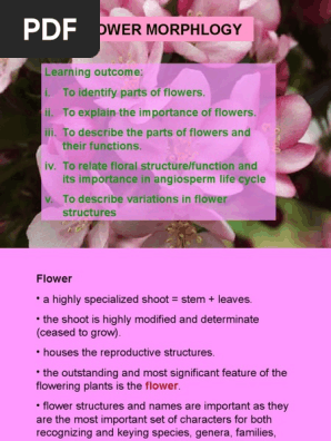 Lecture 5 Flower Morphology