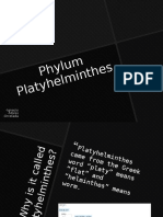 Phylu M Platy Helm Inthe S: - Ignacio - Mores - Orcelada