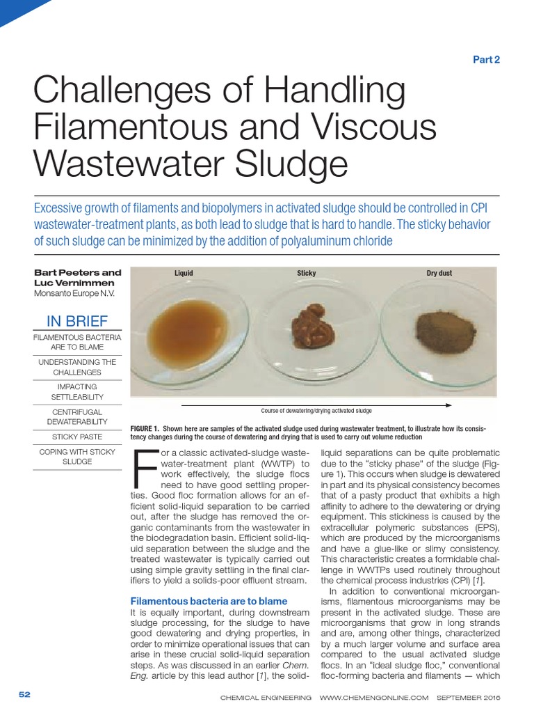 Challenges of Filamentous Sludge Handling | PDF | Sewage Treatment ...