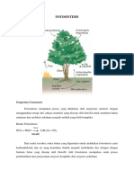 fotosintesis oke.pdf