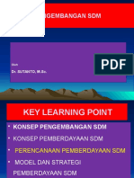 Program Pengembangan SDM