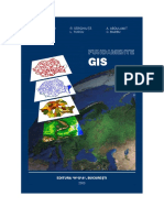 Fundamente GIS - C. Savulescu.pdf