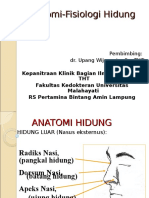 anatomi fisiologi hidung