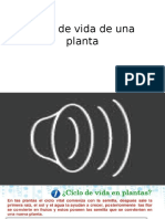 Ciclo de Vida de Una Planta