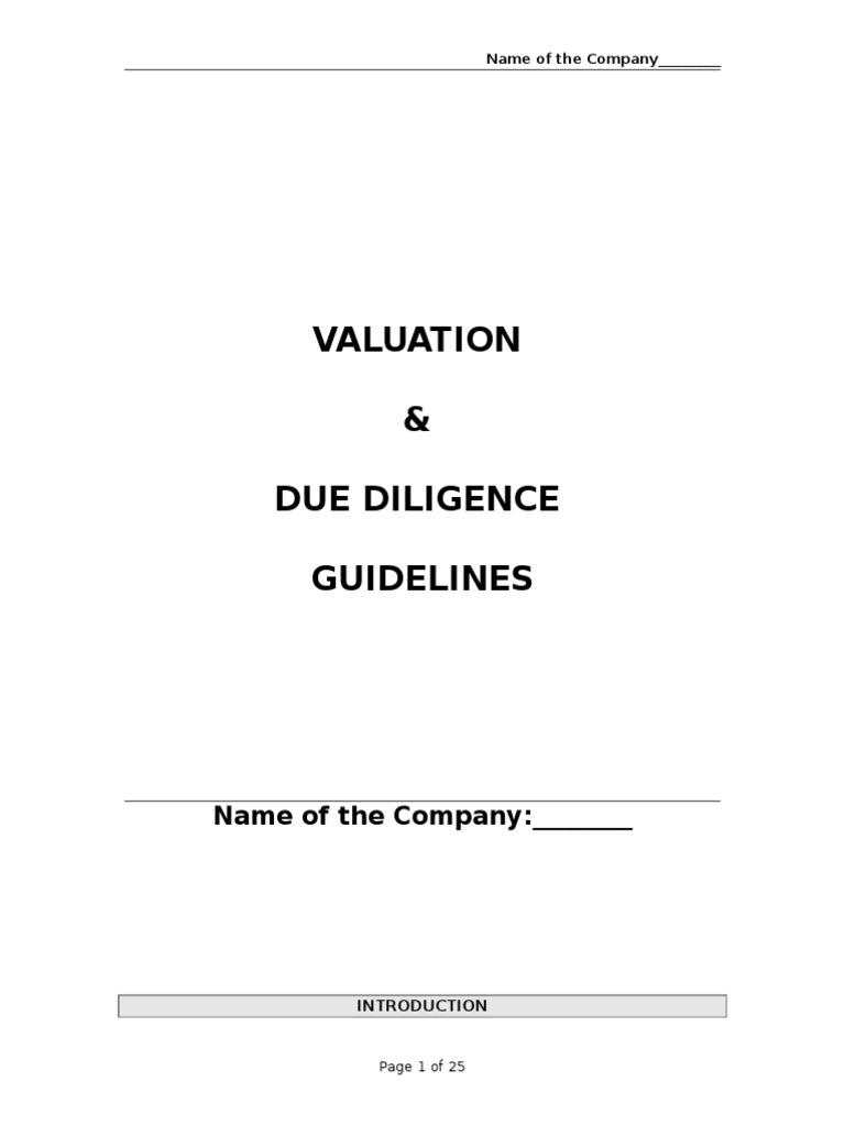 Valuation & Due Diligence Guidelines Name of The Company PDF