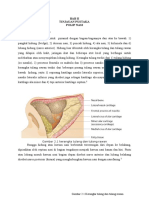 Tinjauan Pustaka Polip Nasi