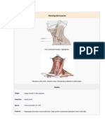 Omohyoid Muscle PDF