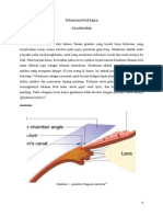 Tinjauan Pustaka Glaukoma 