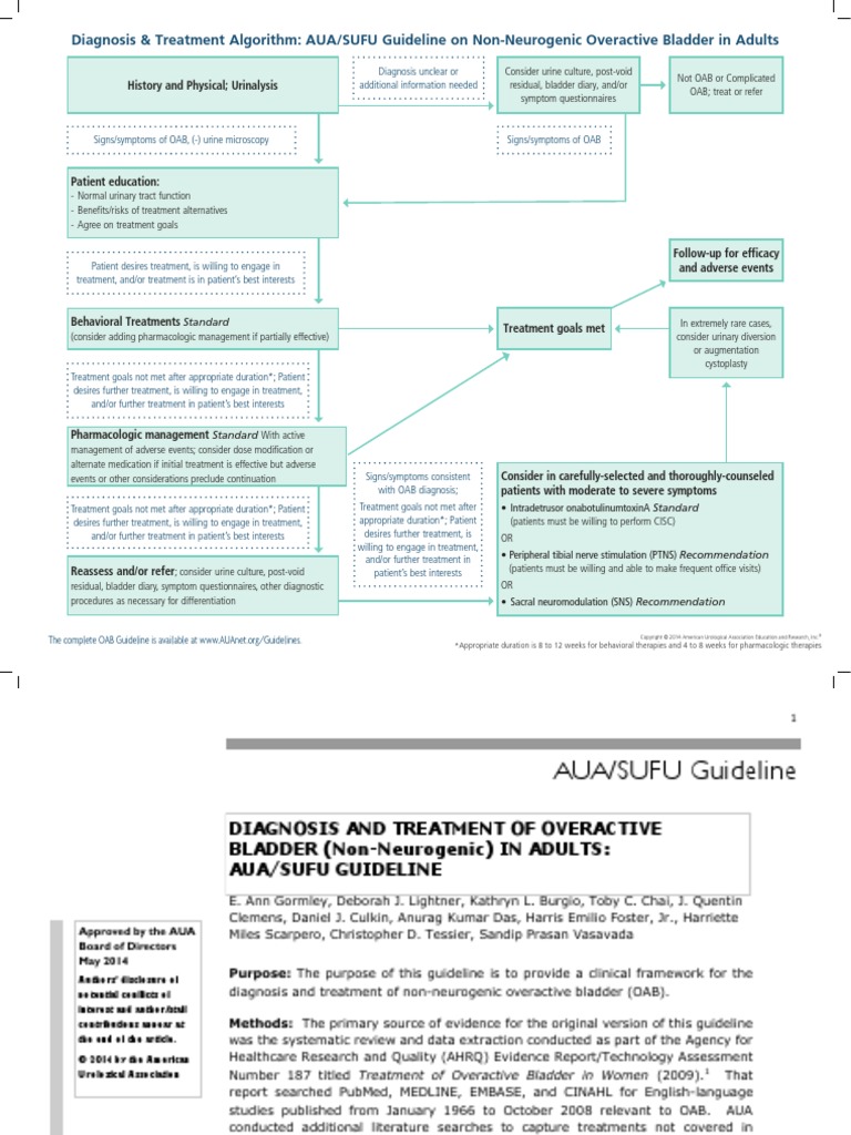 AUA Diagnosis and Treatment of Overactive Bladder - Algorithm (2014 ...