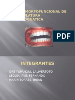 Analisis Morfofuncional de La Musculatura Estomatognatica Seccion 3