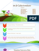 Enzim Β-Galactosidase