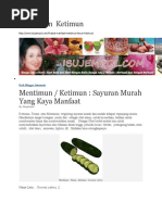 Download Mentimun  Ketimun by kampungsato SN33043400 doc pdf