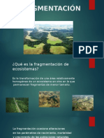 Fragmentación de Ecosistemas Power Point Ecologia