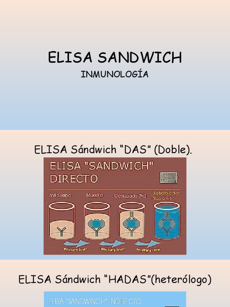 Elisa Sandwich | PDF