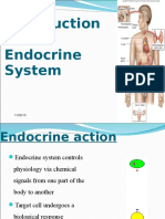 Endocrine Intoduction