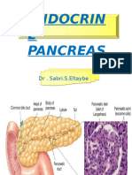 Endocrin E Pancreas: DR - Sabri.S.Eltaybe