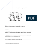 Interpretação Bíblica: Hermenêutica e Exegese