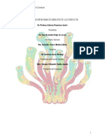 Programa Cientifico SMAC 2016