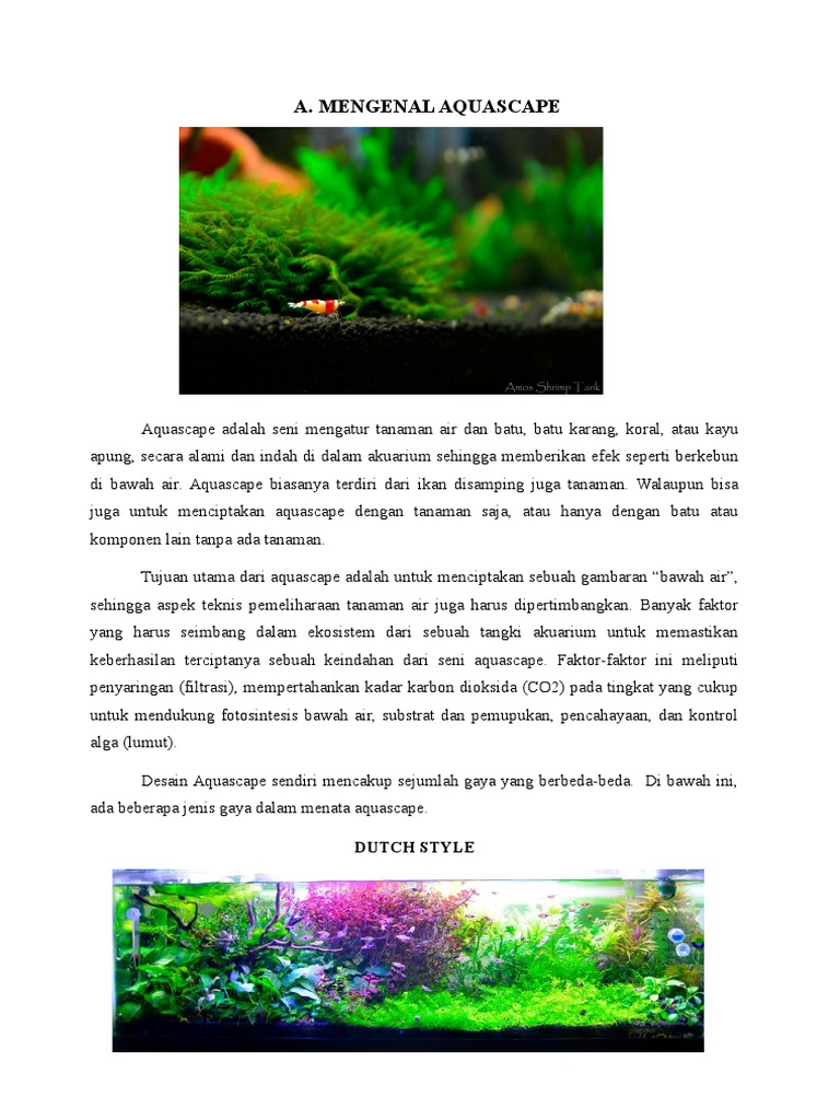 Mengenal Aquascape