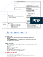 biomoleculas organicas 1.pdf