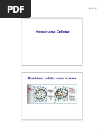 Membranas y Citoesqueleto